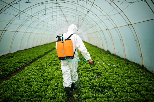 Best Pest Removal Services  in Tamalpais Homestead Valley, CA