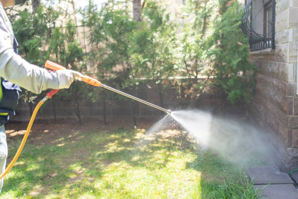 Best Best Pest Control Companies  in Tamalpais Homestead Valley, CA