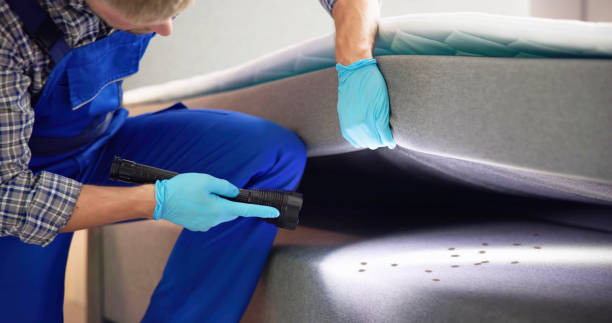 Best Local Pest Control Services  in Tamalpais Homestead Valley, CA