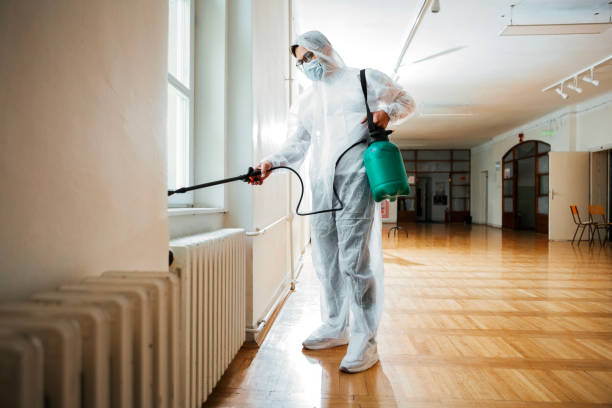 Best Local Pest Control Services  in Tamalpais Homestead Valley, CA